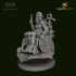 Dungeons and Diversity Half Elf Rogue Wheelchair figure from Strata Miniatures image