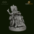 Dungeons and Diversity Half Elf Wizard Wheelchair figure from Strata Miniatures image