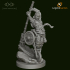 Dungeons and Diversity Human Monk Wheelchair figure from Strata Miniatures image