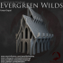 Dark Realms - Evergreen Wilds - Forest Chapel image