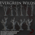 Dark Realms - Evergreen Wilds - Trees image