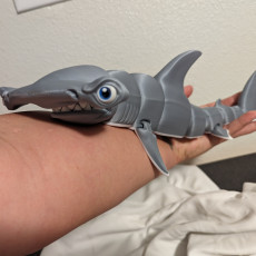 Picture of print of Hammerhead Shark Articulated Toy, Print-In-Place Body, Snap-Fit Head, Cute Flexi