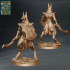 Anubis Warriors and Priestess - 32mm scale image
