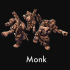 Monk, fighter image