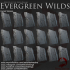 Dark Realms - Evergreen Wilds - Forest Stream Tiles image