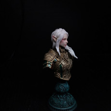 Picture of print of BUST - Elf Fey Paladin Celathyn
