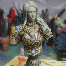 Picture of print of BUST - Elf Fey Paladin Celathyn