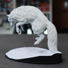 Picture of print of Arctic Fox Jumping