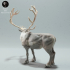 Reindeer / Caribou Bull image