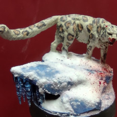 Picture of print of Snow Leopard Angry