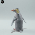 Rockhopper Penguin image