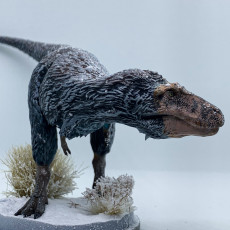 Picture of print of Nanuqsaurus sniffing 1-35 scale pre-supported dinosaur