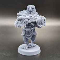 Picture of print of (Pre-supported) Eagle Folk Barbarian
