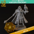 RPG - DnD Hero Characters - Titans of Adventure Set 31 image