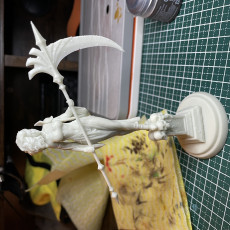 Picture of print of Semenriel Dark Reaper 32mm and 75mm pre-supported