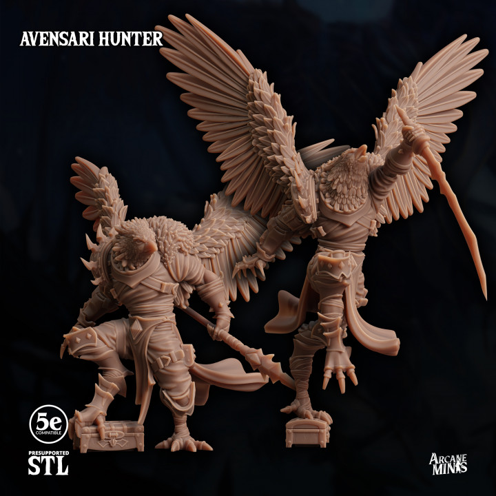 Avensari Hunter - Sky Tamers's Cover