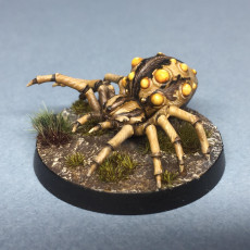 Picture of print of Giant Spiders