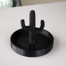 Picture of print of Cactus jewelry tray