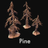 Pine tree image