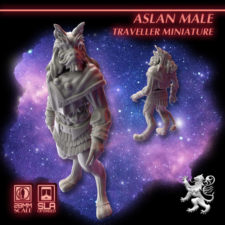Aslan Male Traveller Miniatures's Cover