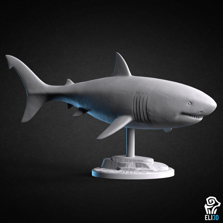 Great White Shark - Animal's Cover