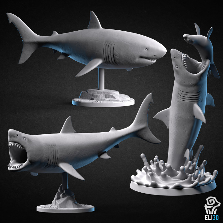 Shark Bundle - Animals's Cover