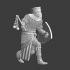 Medieval Danish Knight "Ridder Trolde" image