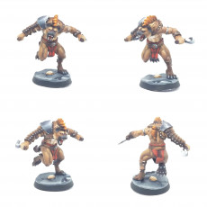 Picture of print of [DECEMBER 2022 RELEASE]  Gnolls warband
