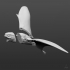 Anurognathus ammoni, tiny pterosaur image