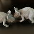 Pachyrhinosaurus duel 1-35 scale pre-supported dinosaur fight image