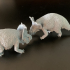 Pachyrhinosaurus duel 1-35 scale pre-supported dinosaur fight image