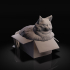 Fat cat in box image