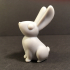 Little rabbit image