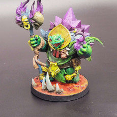 Picture of print of Tortle Warlock