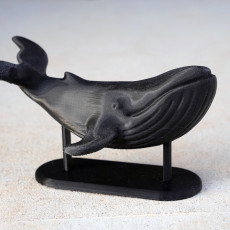Picture of print of Whale