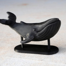 Picture of print of Whale