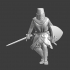 Medieval Crusader Knight advancing image