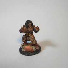 Picture of print of Half-Orc Brawler