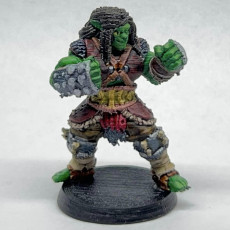 Picture of print of Half-Orc Brawler