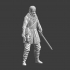 Medieval soldier with torch - (medieval commando) image