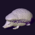 hedgehog toy image