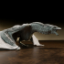 Syrax dragon fan art - pre supported - FREE model Free 3D print model image