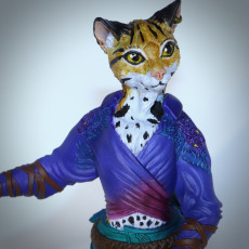 Picture of print of Tabaxi Monk - Amalya - 28/32mm and 75mm