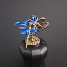 Picture of print of Ironborn Paladin - Sallute - 28/32mm and 75mm