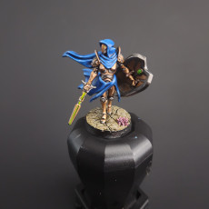 Picture of print of Ironborn Paladin - Sallute - 28/32mm and 75mm