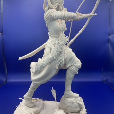 Picture of print of Saelihn, the Forest Archer [presupported]