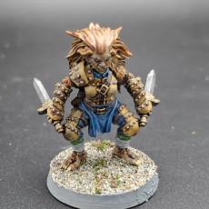 Picture of print of Bugbear Rogue