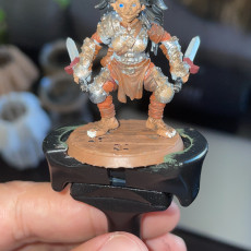 Picture of print of Bugbear Rogue