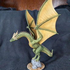 Picture of print of Dragon 2
