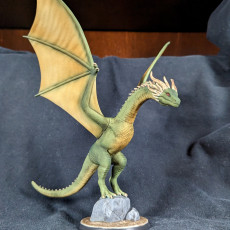 Picture of print of Dragon 2